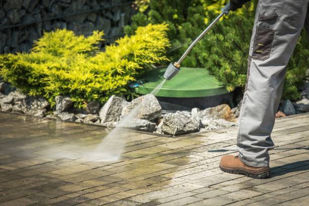 Best Boat and Dock Cleaning  in Lolo, MT